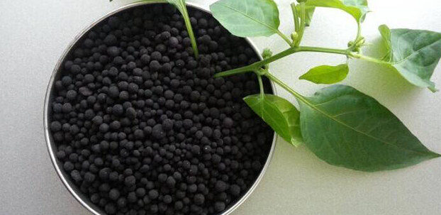 六大優勢廣告1